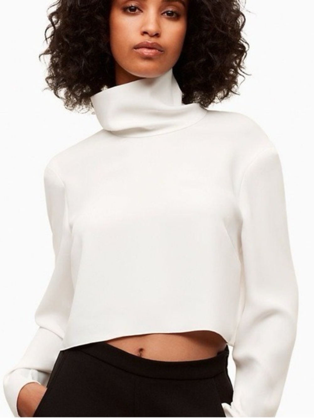 Aritzia Babaton Rembrandt Blouse